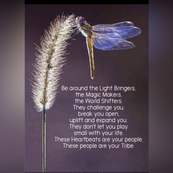 Share show - Picture 3 of 14